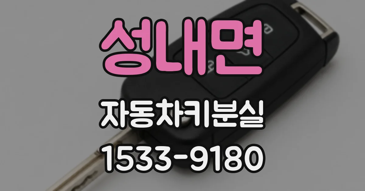 성내면 자동차키분실