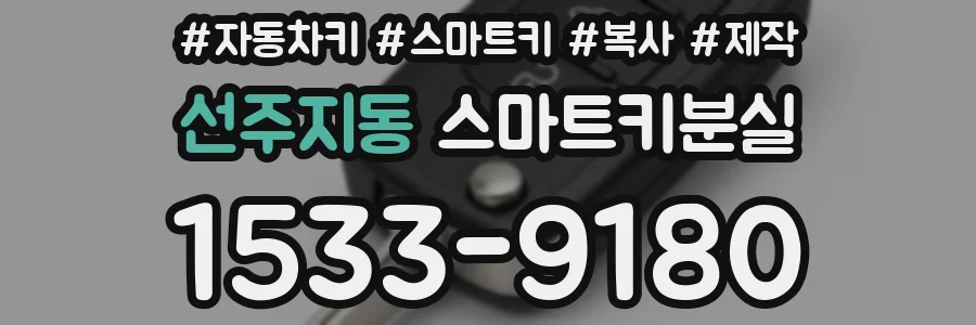선주지동 스마트키분실