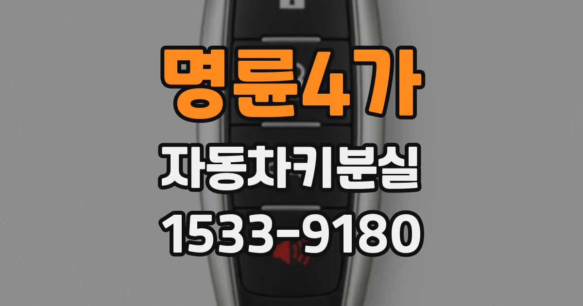 명륜4가 자동차키분실