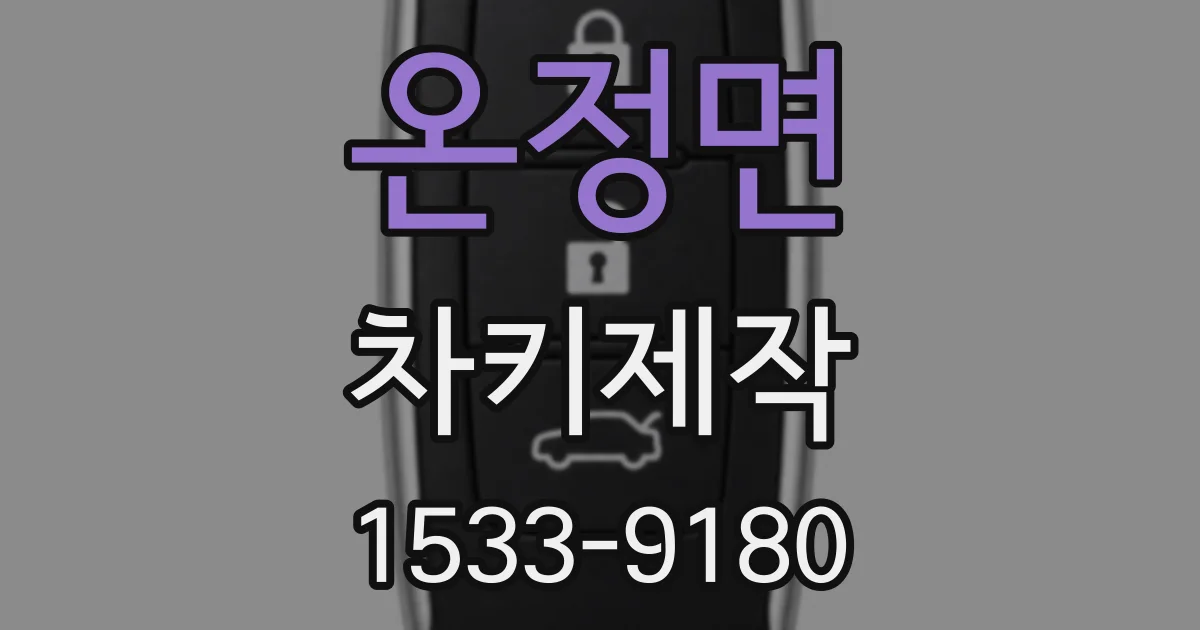 온정면 차키제작