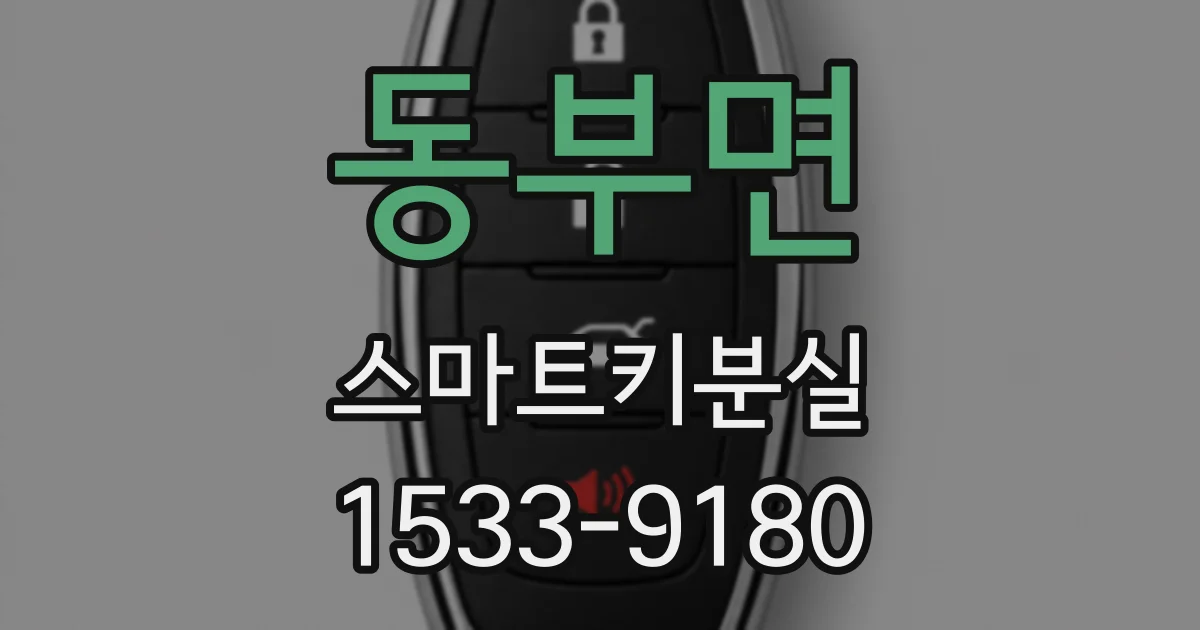 동부면 스마트키분실