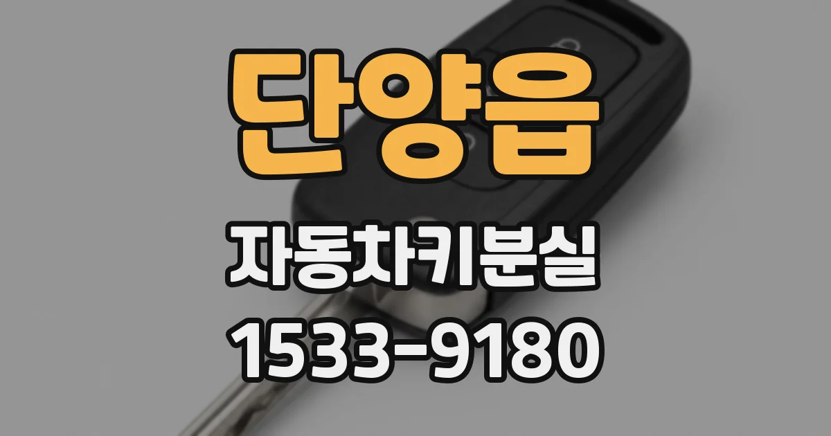 단양읍 자동차키분실
