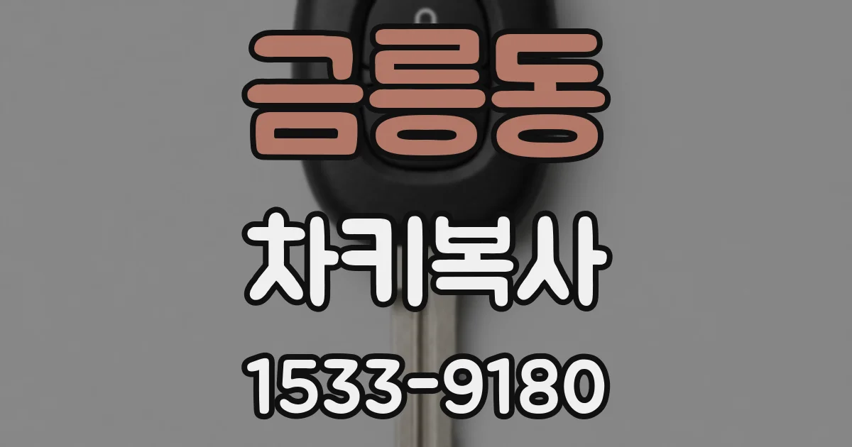 금릉동 차키복사