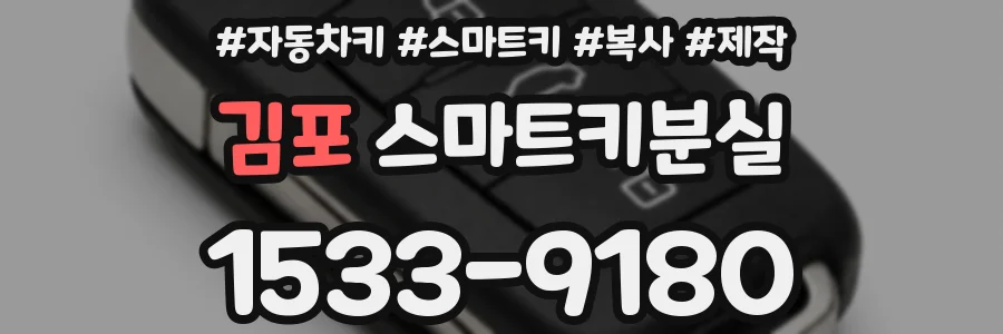김포 스마트키분실
