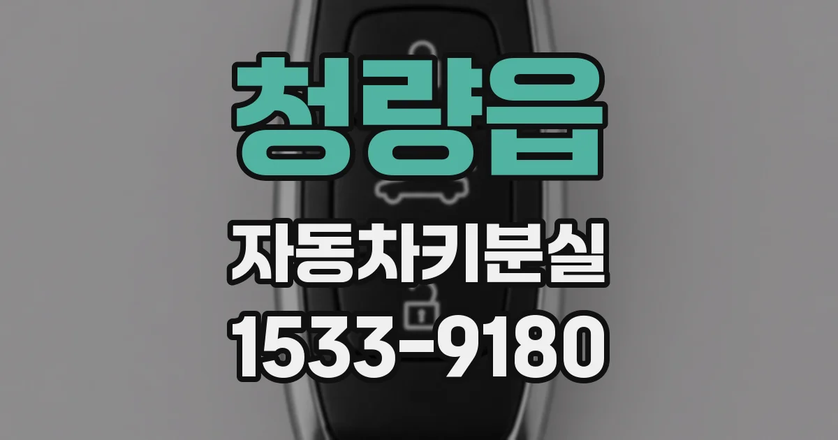 청량읍 자동차키분실