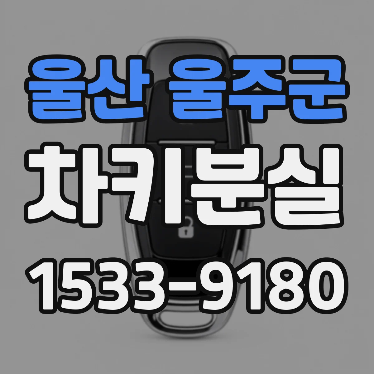 울산 울주군 차키분실