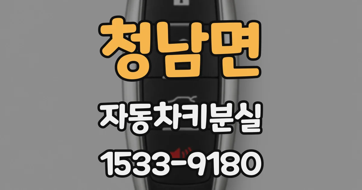 청남면 자동차키분실