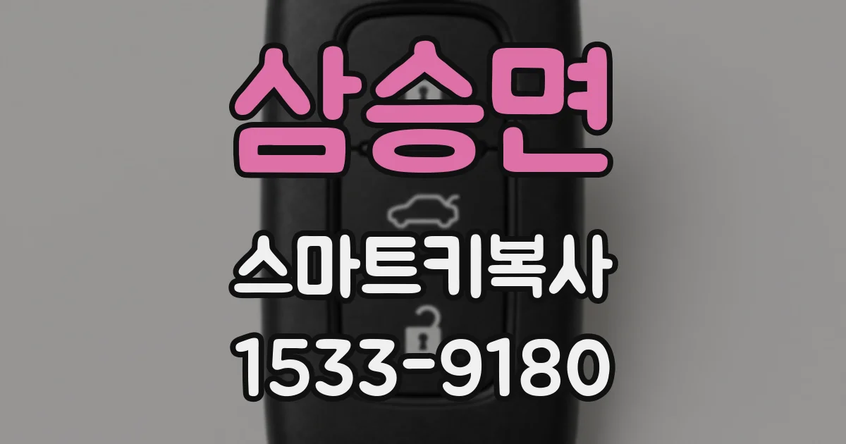 삼승면 스마트키복사