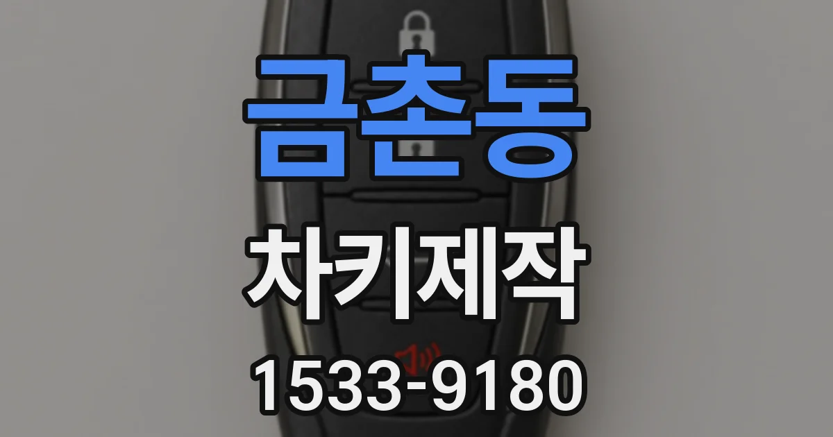 금촌동 차키제작