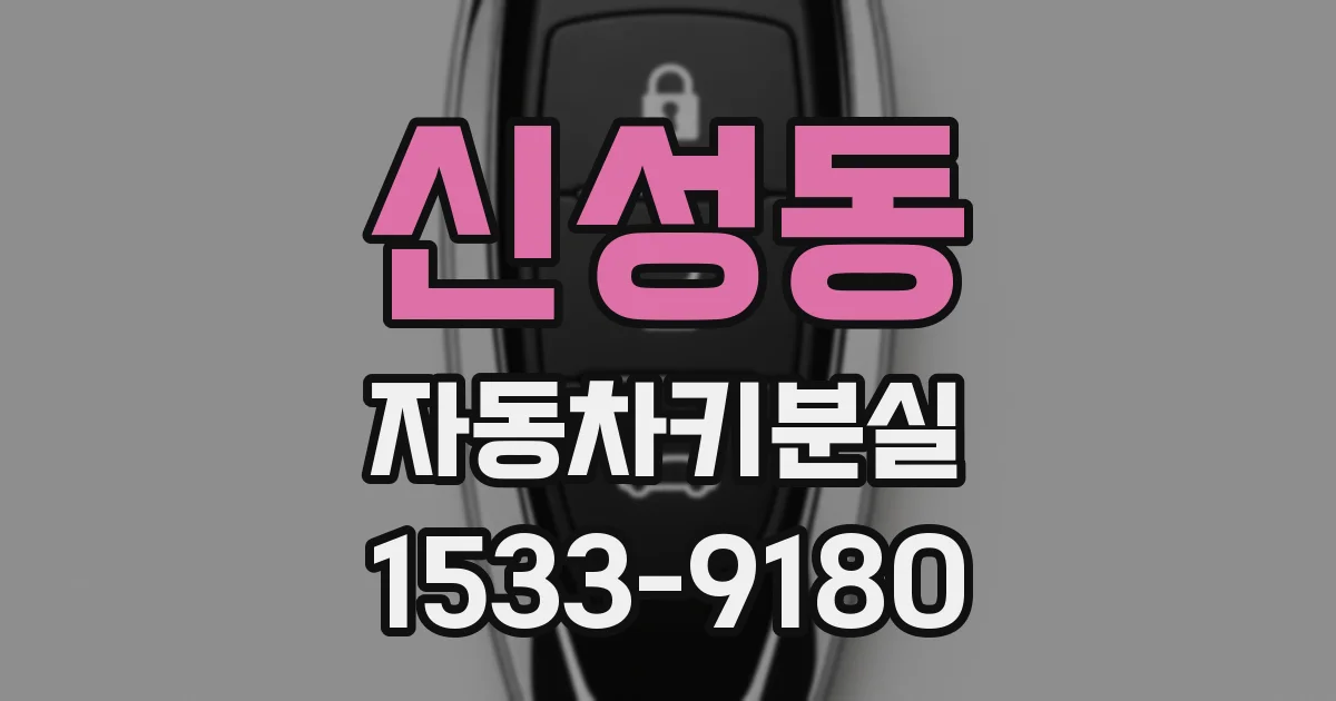 신성동 자동차키분실