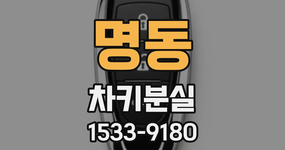 명동 차키분실