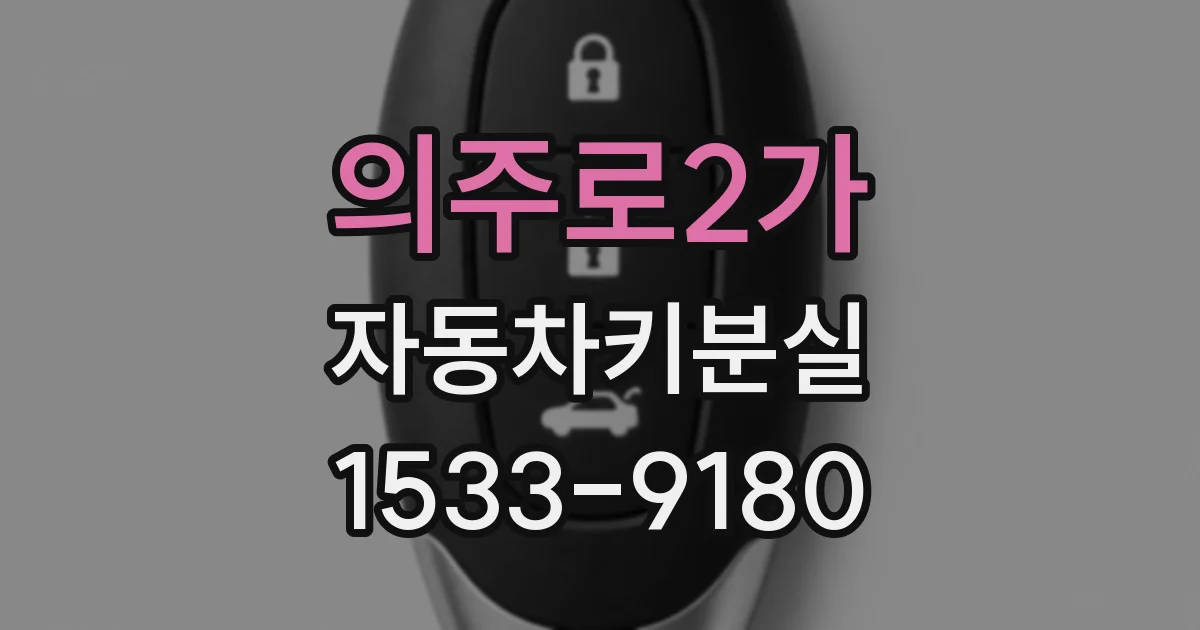 의주로2가 자동차키분실