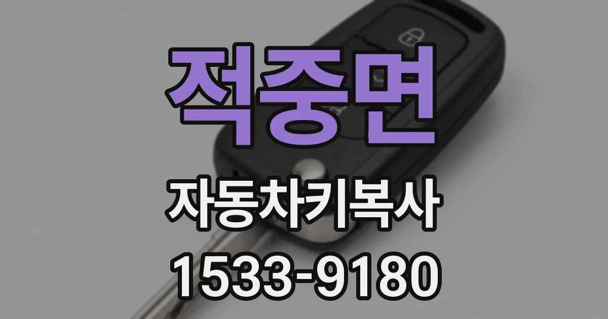 적중면 자동차키복사