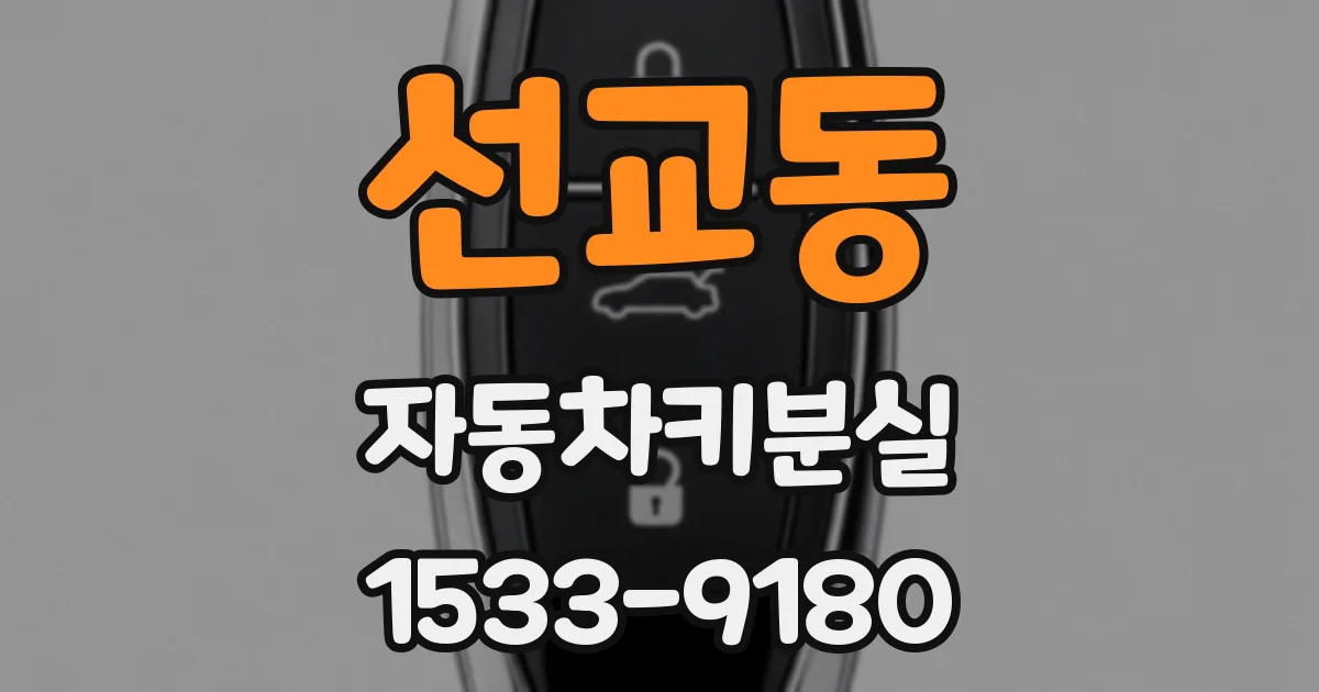 선교동 자동차키분실
