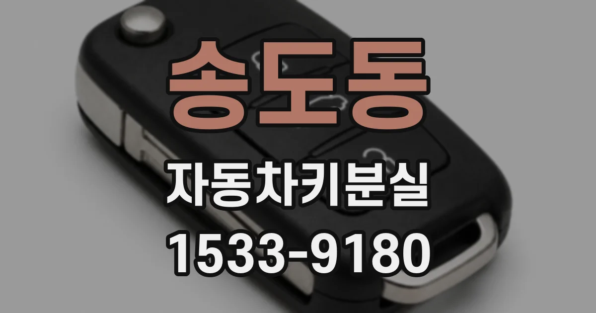 송도동 자동차키분실