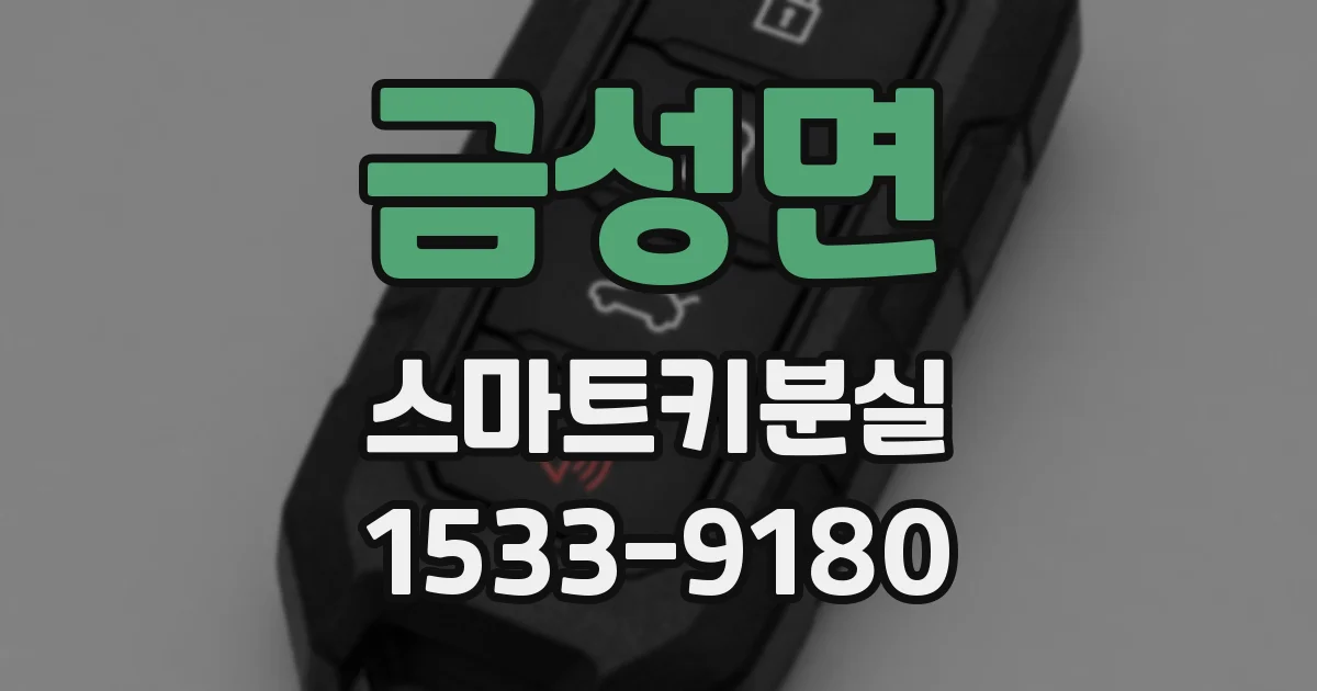 금성면 스마트키분실