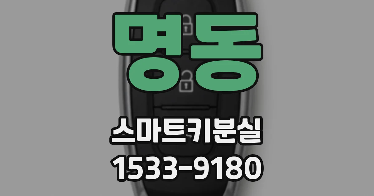 명동 스마트키분실