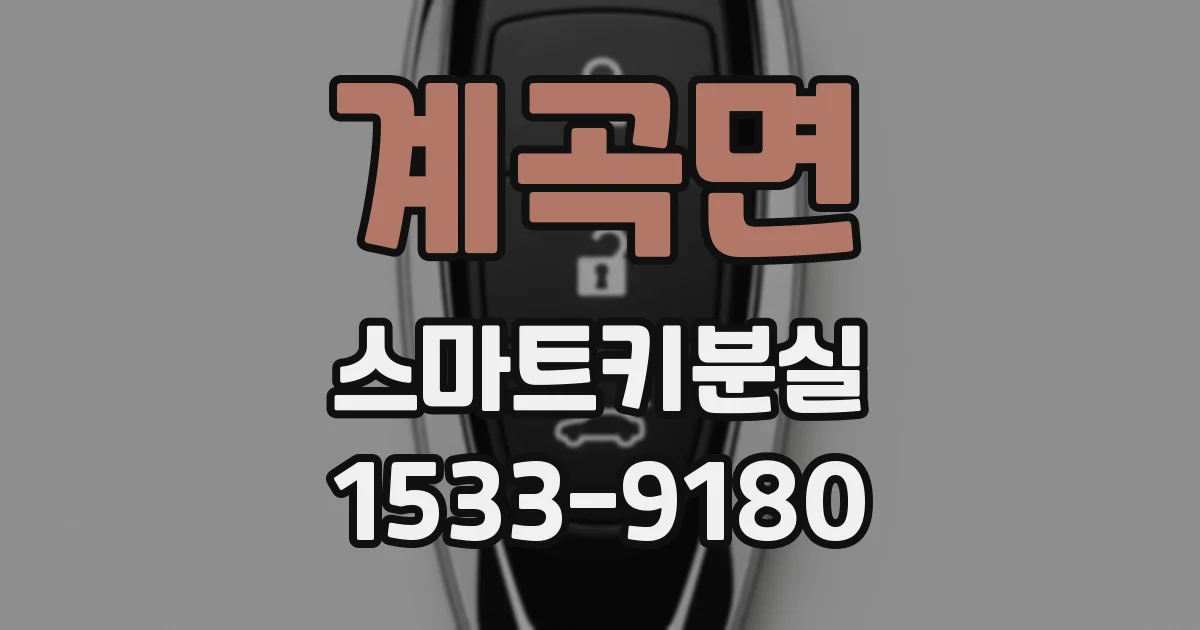 계곡면 스마트키분실