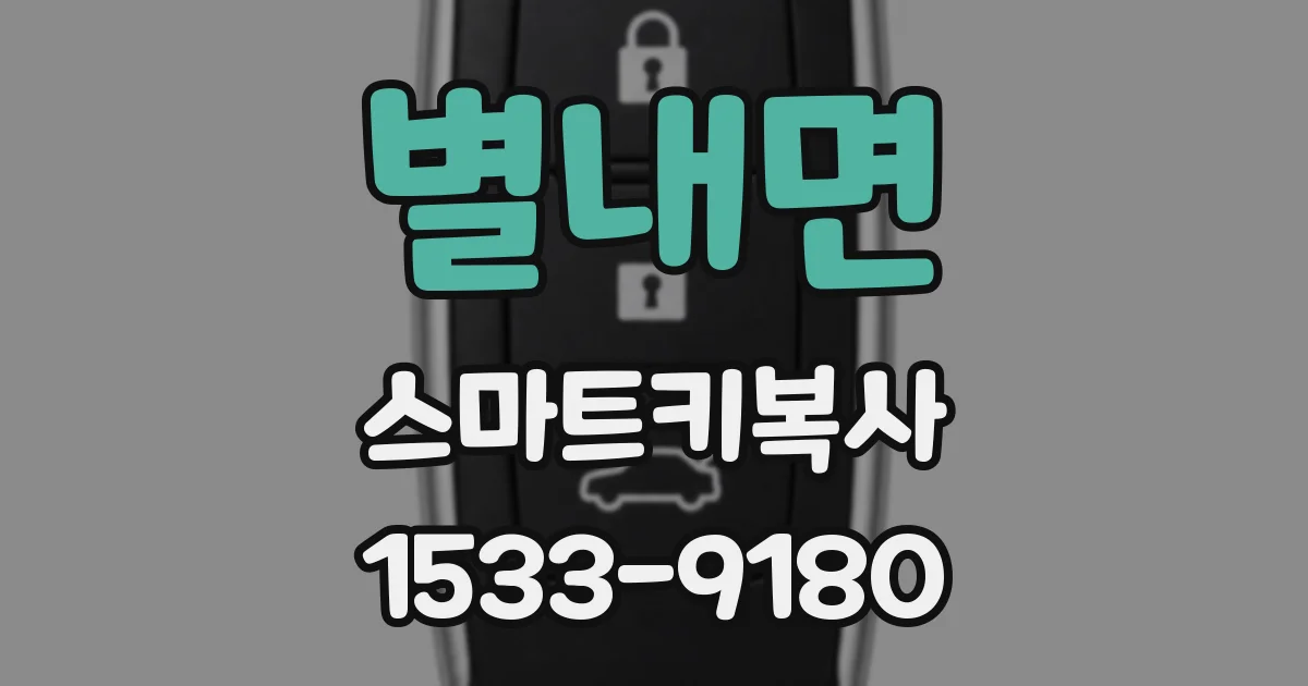 별내면 스마트키복사