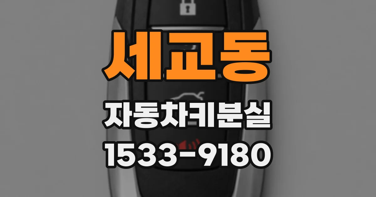 세교동 자동차키분실