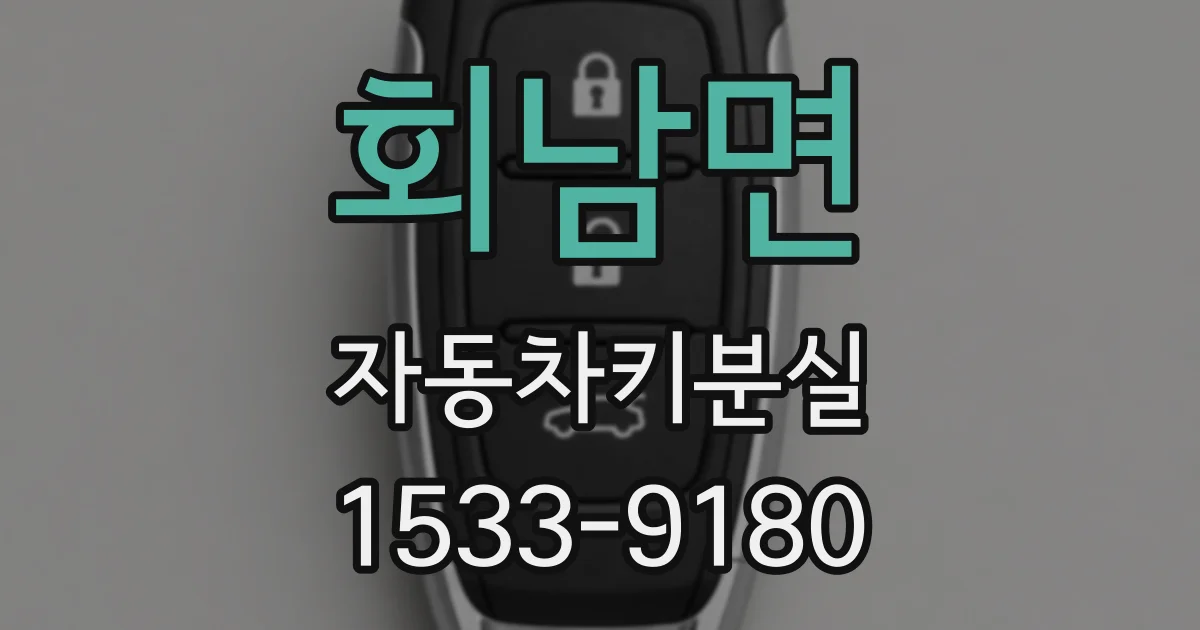 회남면 자동차키분실