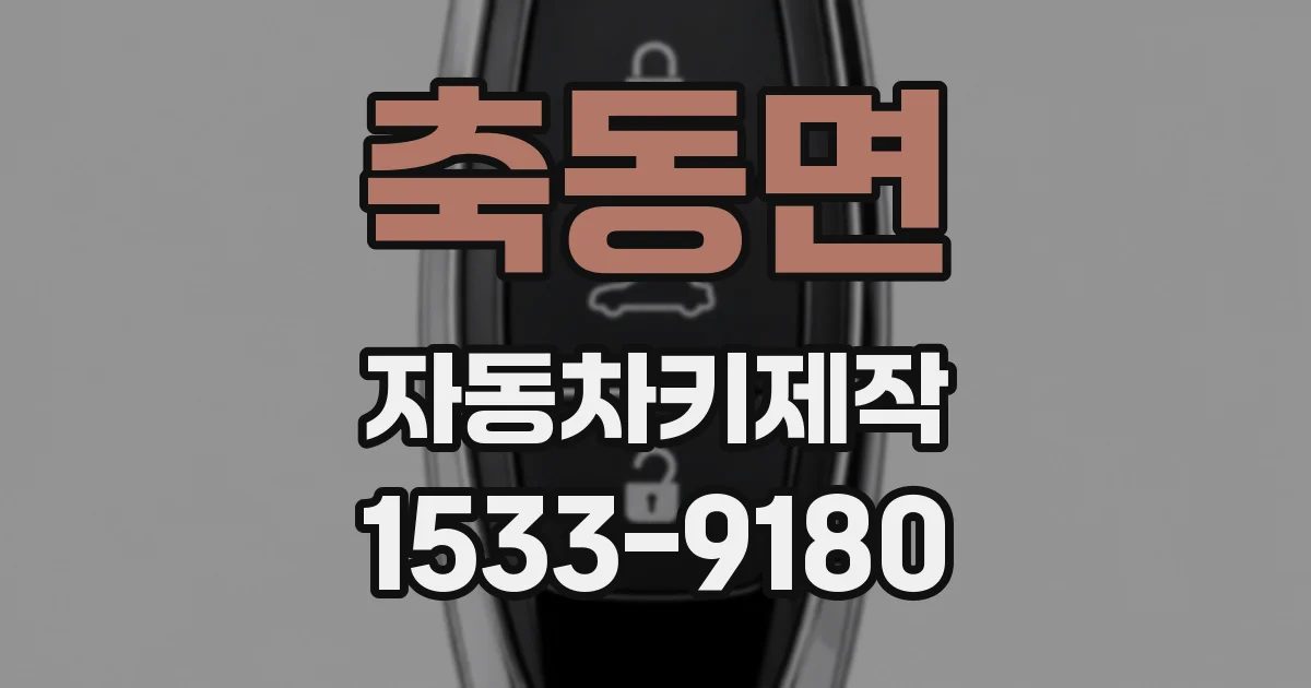 축동면 자동차키제작