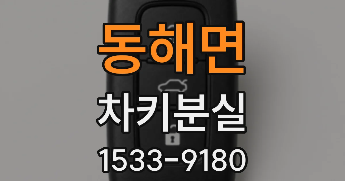 동해면 차키분실