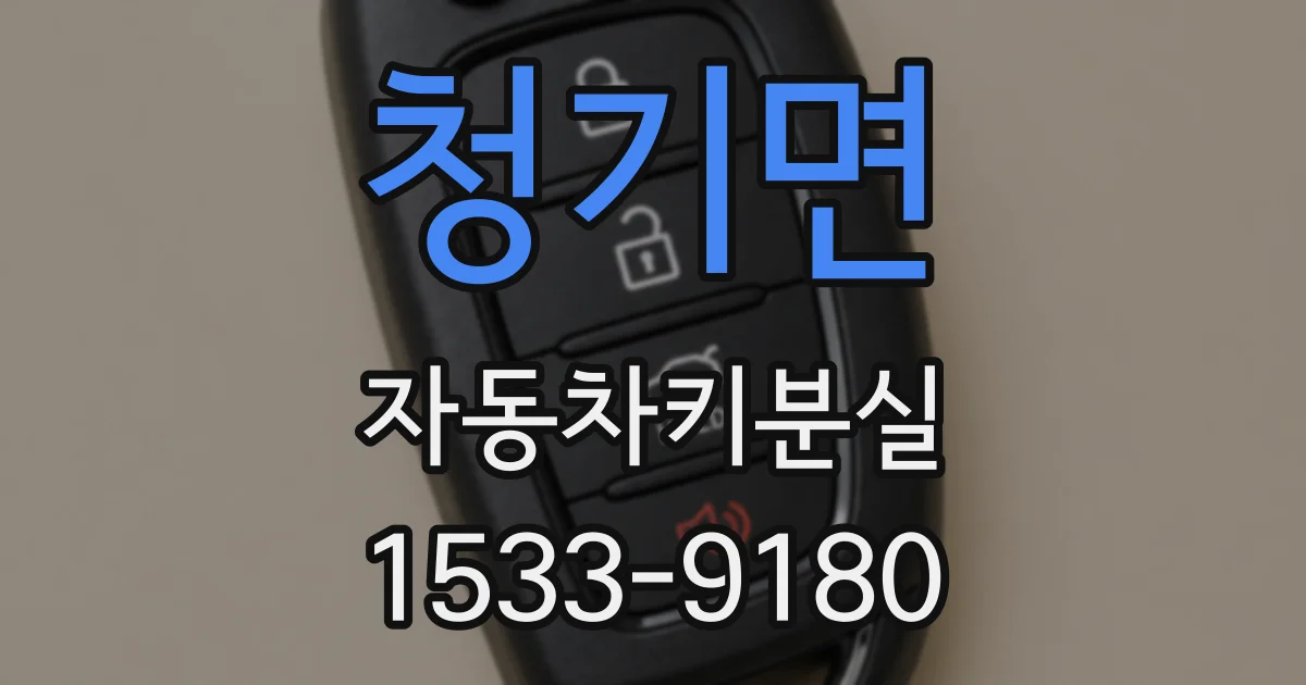 청기면 자동차키분실