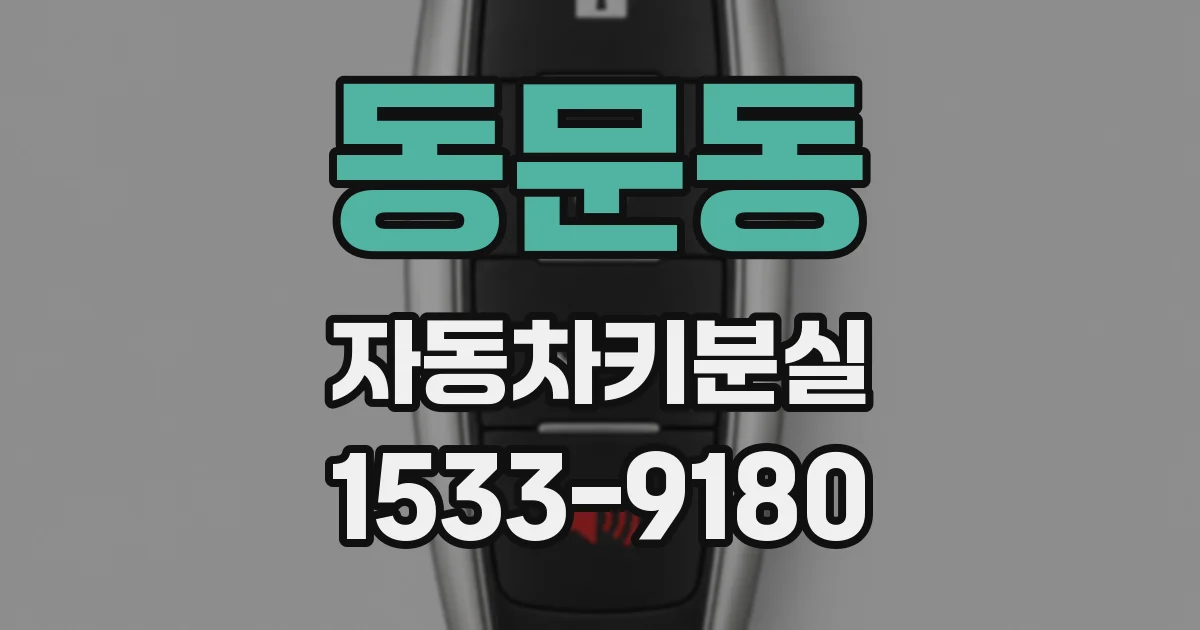 동문동 자동차키분실