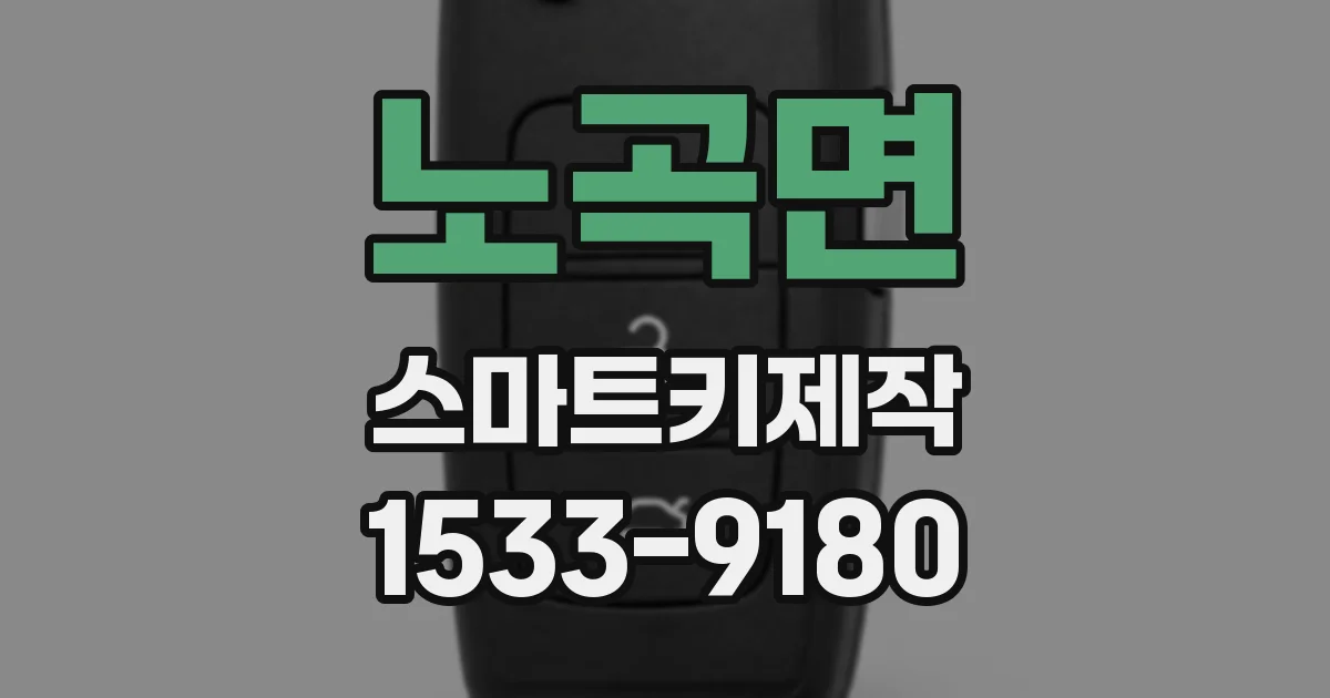 노곡면 스마트키제작