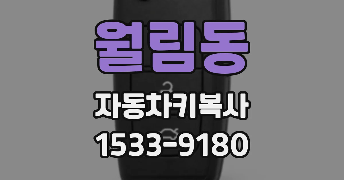 월림동 자동차키복사