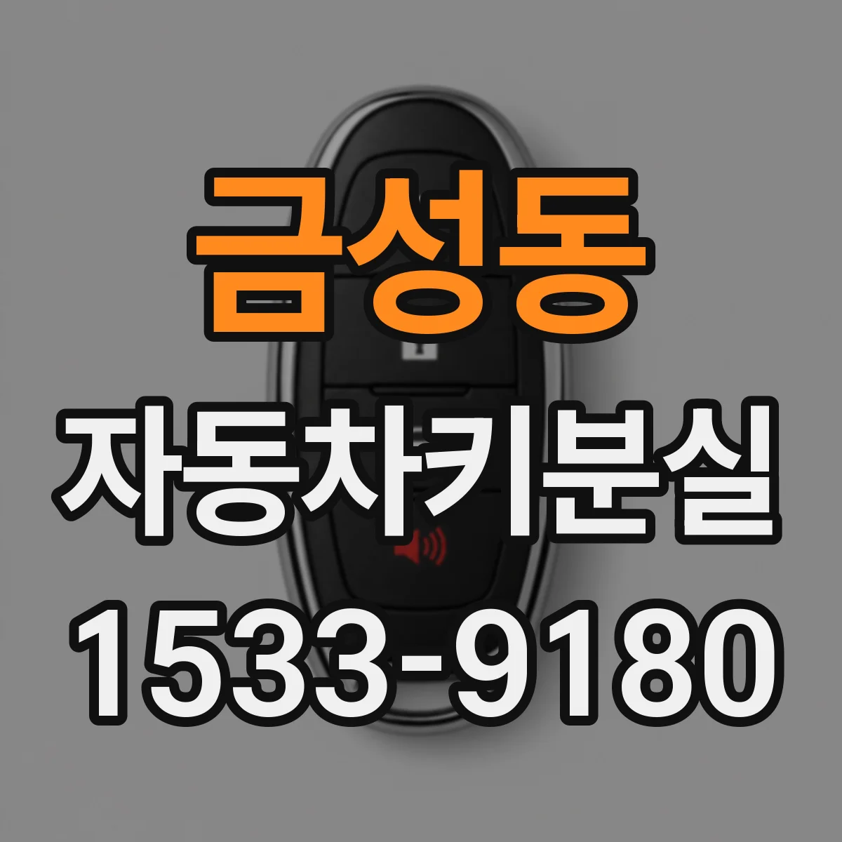 금성동 자동차키분실