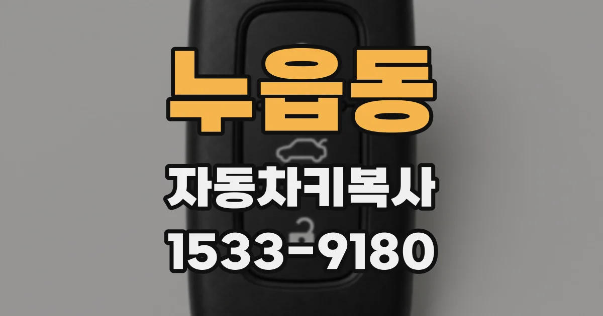 누읍동 자동차키복사