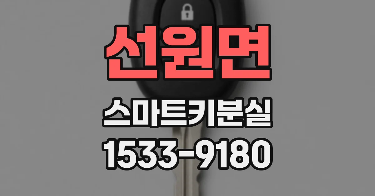 선원면 스마트키분실