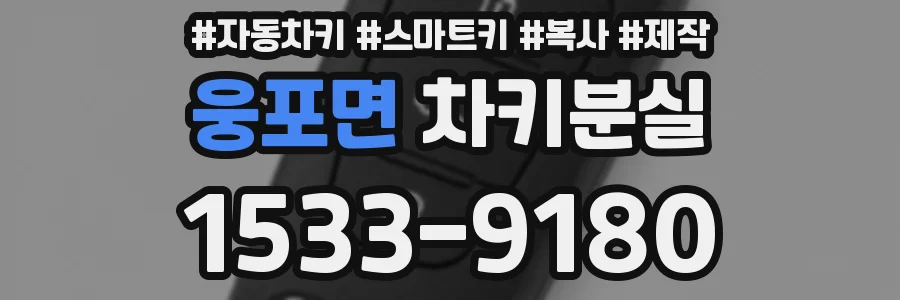 웅포면 차키분실