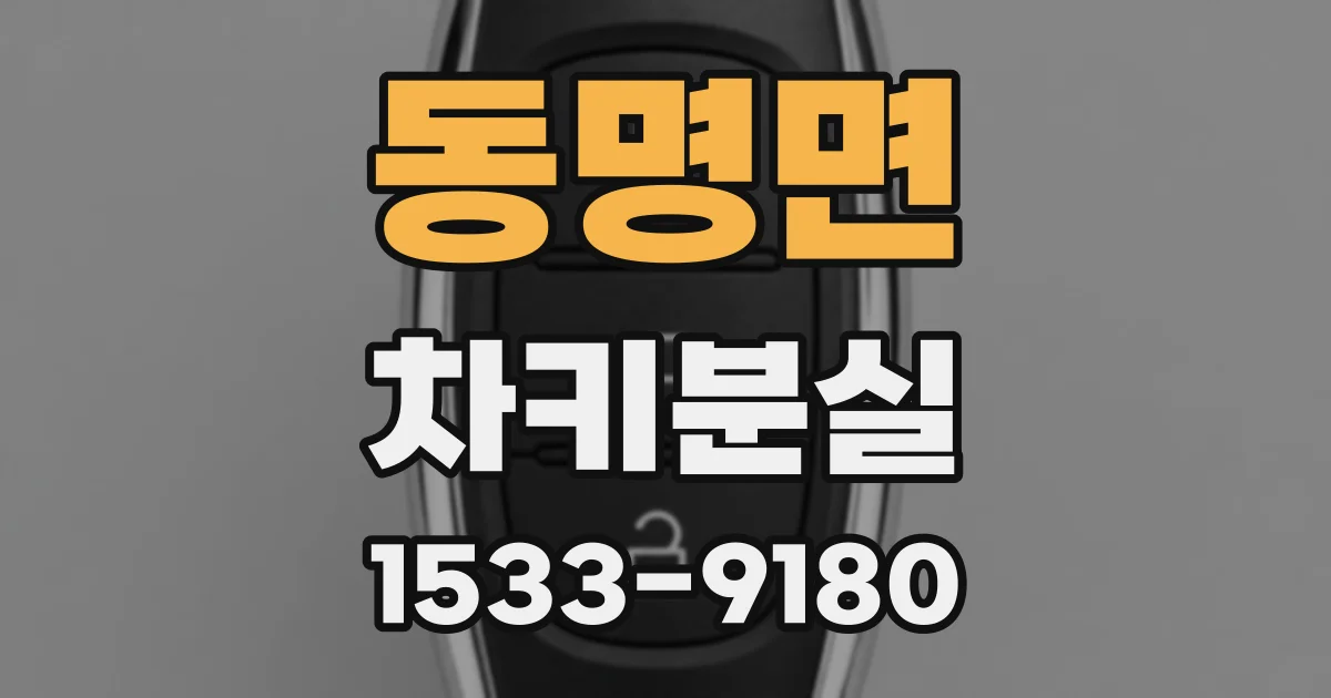 동명면 차키분실