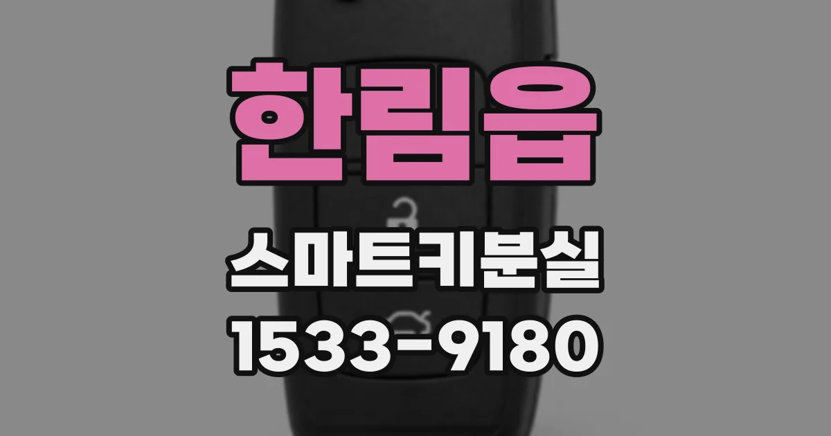 한림읍 스마트키분실