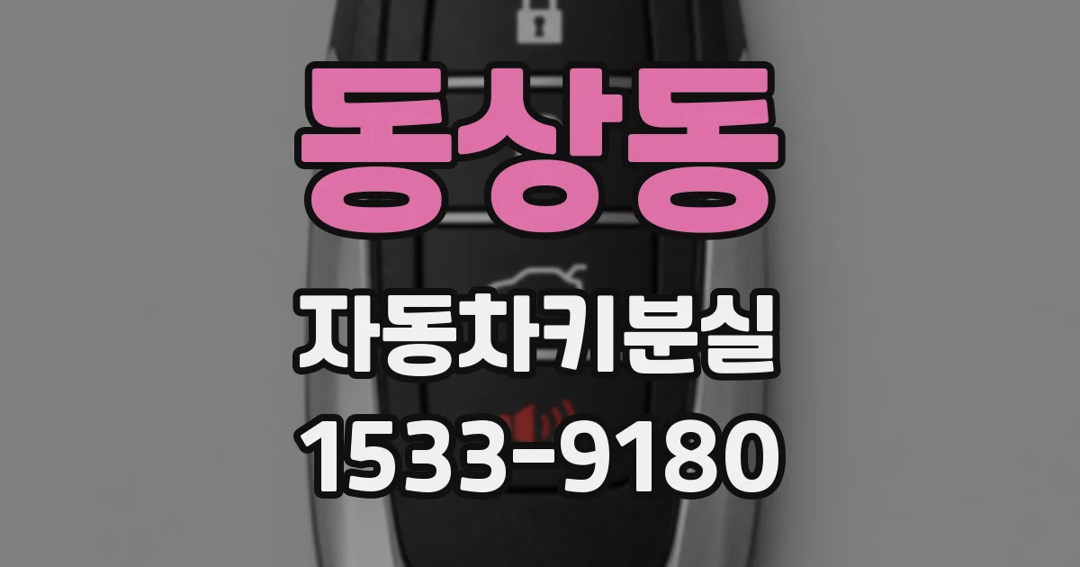 동상동 자동차키분실
