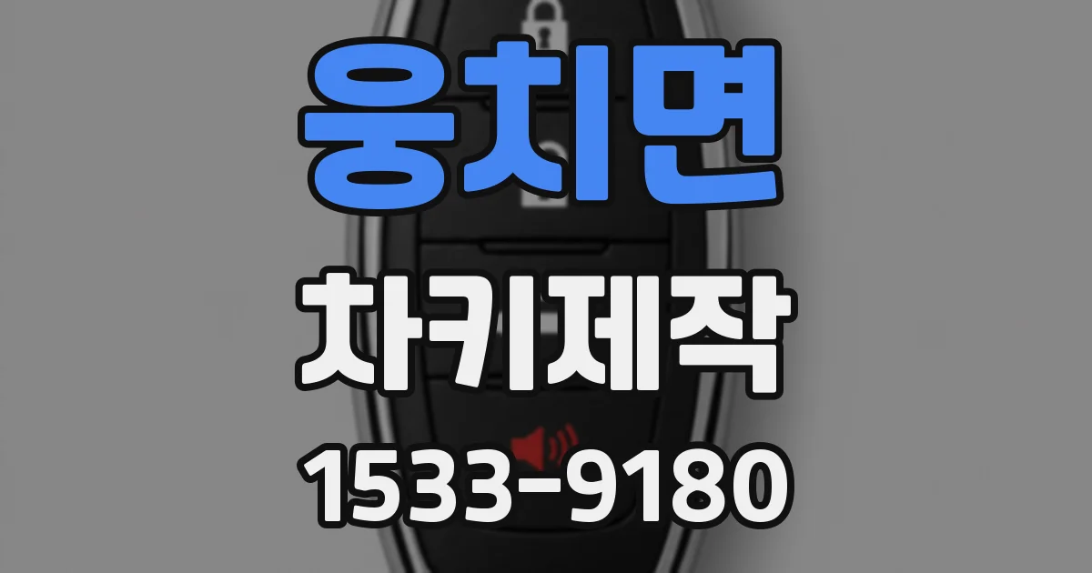 웅치면 차키제작