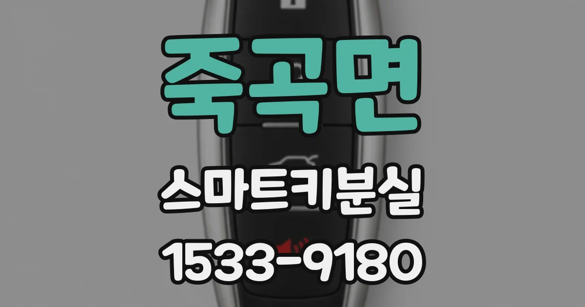 죽곡면 스마트키분실