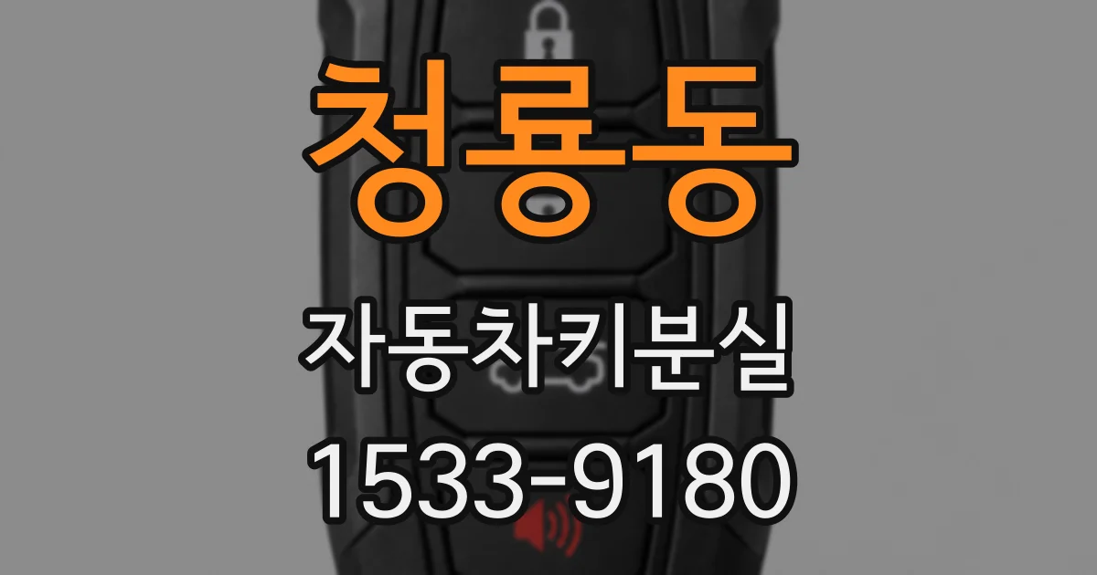 청룡동 자동차키분실