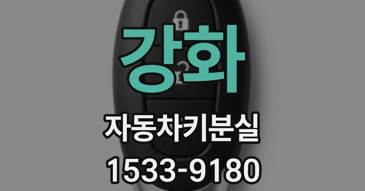 강화 자동차키분실