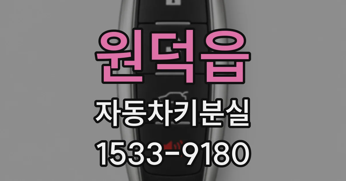 원덕읍 자동차키분실