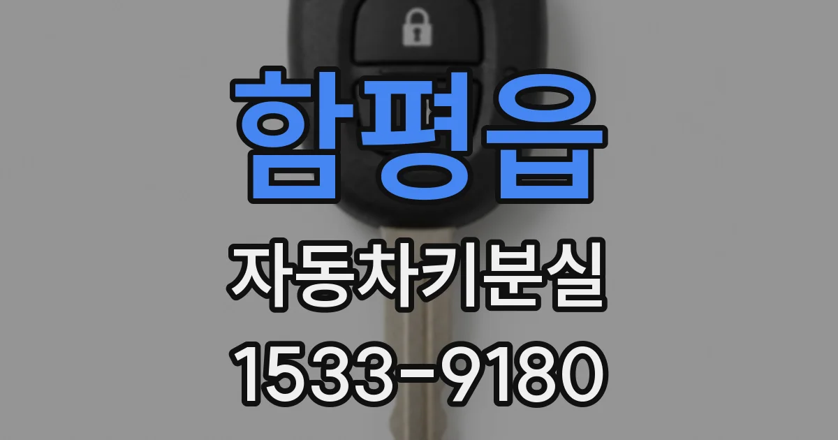 함평읍 자동차키분실