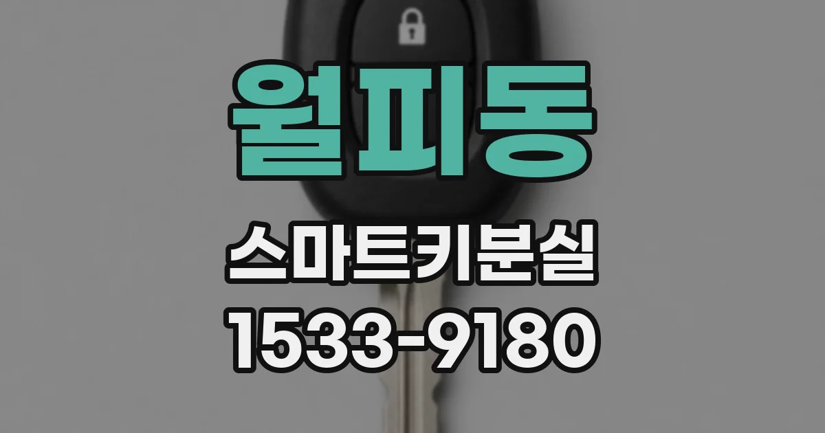 월피동 스마트키분실