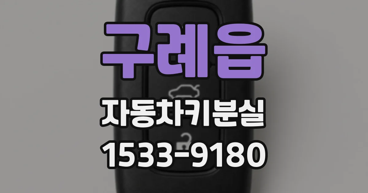 구례읍 자동차키분실