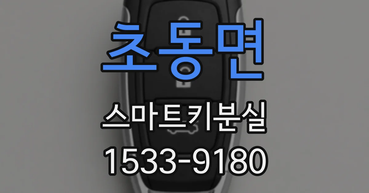 초동면 스마트키분실
