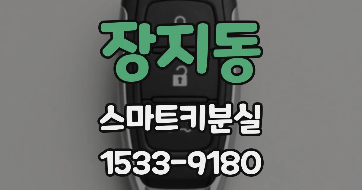 장지동 스마트키분실