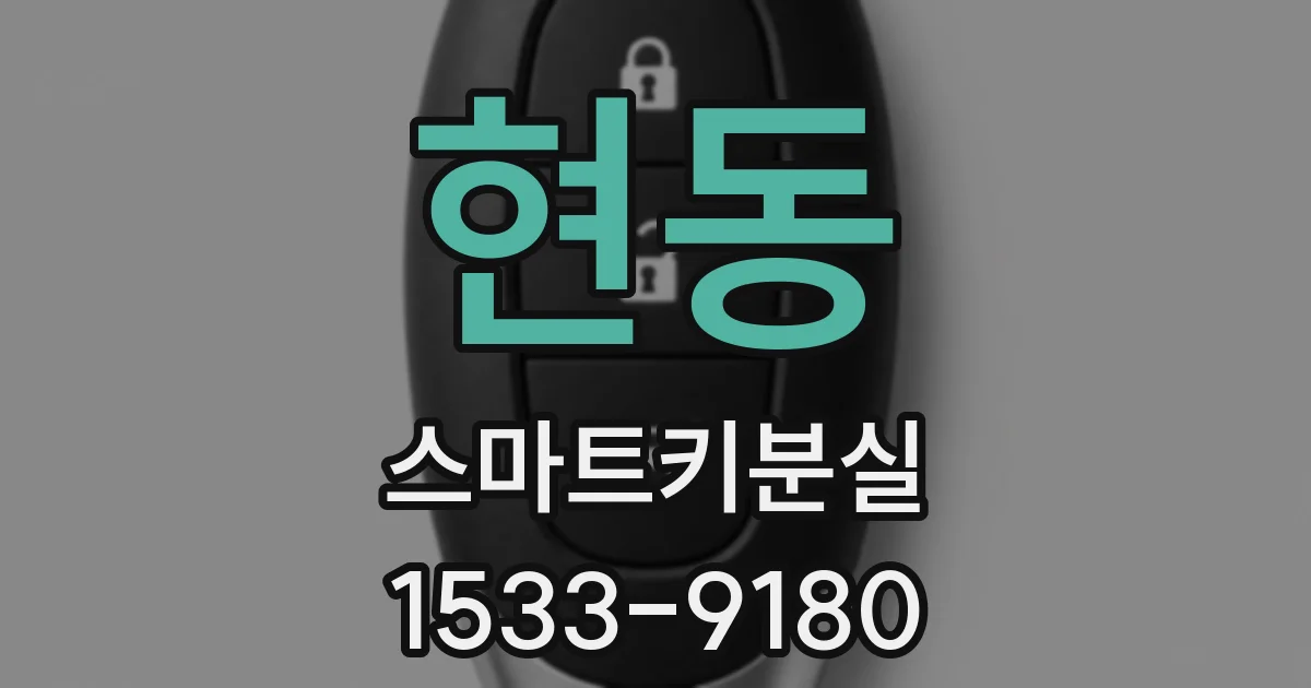 현동 스마트키분실