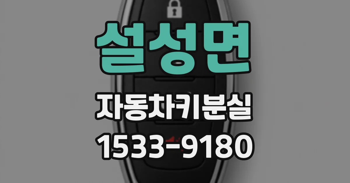 설성면 자동차키분실